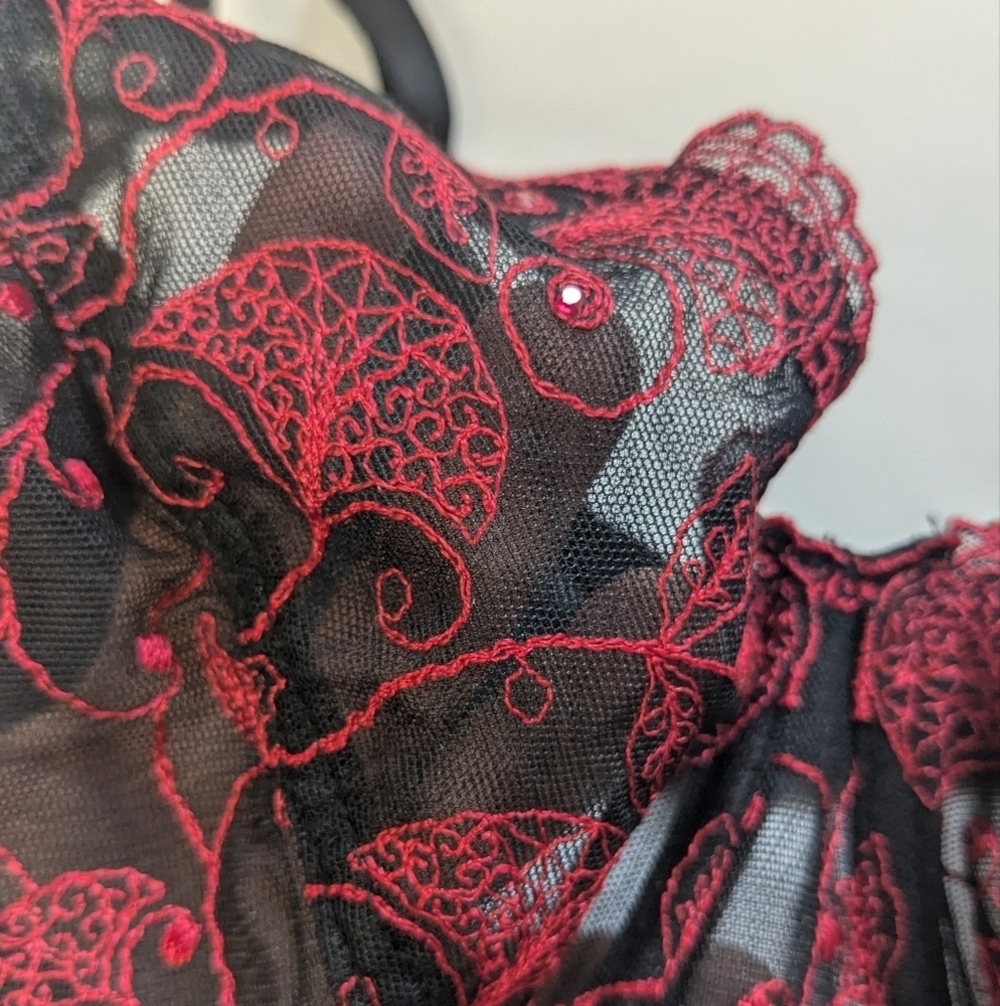 Panache Black Bra with Red Floral Embroidery - Picture 3 of 8